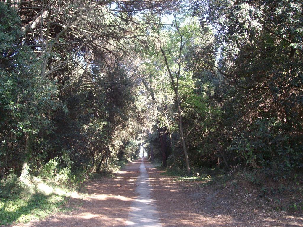 Agenzia Vear - Lido Di Volano Exterior foto